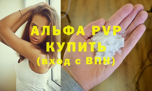 тгк Новозыбков