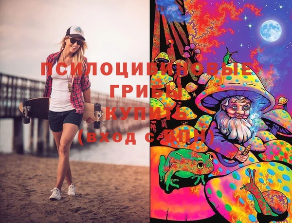 тгк Новозыбков