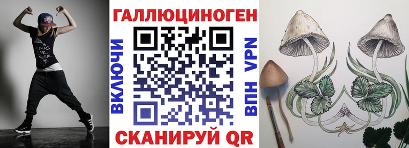 дарнет шоп  Орлов  Псилоцибиновые грибы GOLDEN TEACHER 
